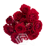 R TR LIBERTY JEWEL 40CM