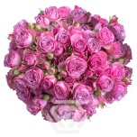 R TR WEDDING PINK JEWEL 40CM