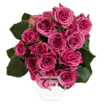 R TR PURPLE JEWEL 40CM
