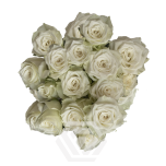 R TR SNOWY JEWEL 40CM