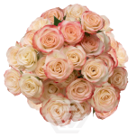 R TR SWEET JEWEL 40CM