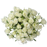 R TR SHINING STAR 40CM