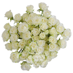 R TR SNOWFLAKE 40CM