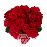 R TR THATS RED JEWEL 40CM