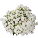 R TR WHITE MAJOLIKA 40CM