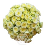 R TR CREAM FLOW 40CM