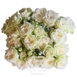 R TR WHITE FLOW 50CM