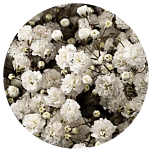 GYPS PA KIPSLILL GLITTER SILVER 80CM 1000GR