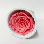 Stabiliseeritud roos MONALISA 1tk MADELEINE PINK