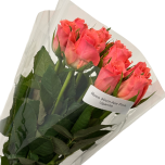 Roos 40cm Ace Pink Uganda