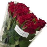 Roos 40cm Madam Red Uganda