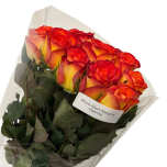 Roos 40cm Magma Uganda