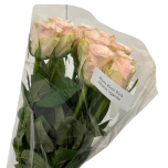 Roos 40cm Pink Athena Uganda