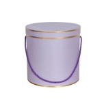 Hamilton Hat Box Lined LILAC/GOLD piping 3TK