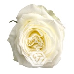 R GR CANDLELIGHT 70CM