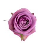 R GR COOL WATER 40CM