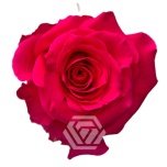 R GR FULL MONTY 50CM