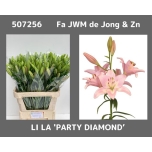 Lilium Liilia LA Party Diamond 90cm