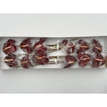 Anthurium Flamingolill Morano