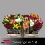 Roos 40cm mix Afriflora
