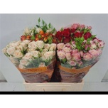 Kobarroos 60cm mix in bucket Everflora