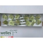 Anthurium Flamingolill Princess Ariane Mint