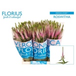Veronica Smart Roswitha 50cm