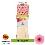 Gerbera MINI Diamond Petticoat*25