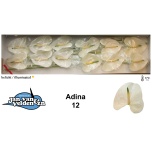 Anthurium Flamingolill Adina