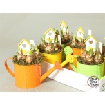 Arrangementen narcissus 35cm
