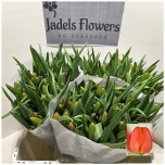 Tulp si Orange Juice