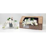 Phalaenopsis Kuuking other white 12cm