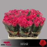 Roos 60cm Wink (Afriflora)