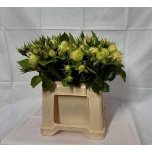 Kobarroos 50cm Wedding Piano