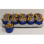 Muscari Kobarhüatsint armeniacum 12cm