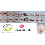 Anthurium Flamingolill Facetto