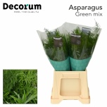 Asparagus mixbunch 45cm