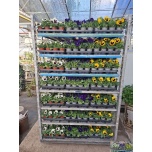 Viola Võõrasema hybride mixed trolley 9cm