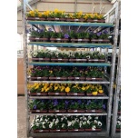 Viola Võõrasema hybride mixed trolley 9cm