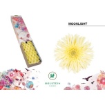 Gerbera mini Moonlight*20