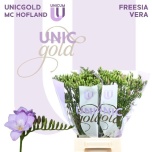 Freesia Vera