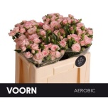 Kobarroos 50cm Aerobic