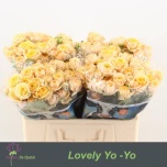 Kobarroos 55cm Lovely yo-yo