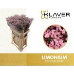 Limonium Parkjuur V Safora Oshi Pink 80cm