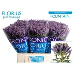 Veronica Smart Fountain 60cm