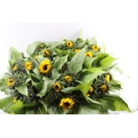 Helianthus Päevalill Sunrich Orange 85cm