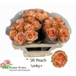 Roos 50cm Peach Funky