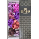 Vanda mix in box per stem 25cm