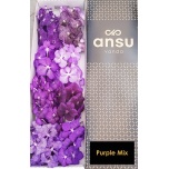 Vanda mix per stem (8 õit)