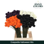 Craspedia Kerajas Varblill paint 70cm